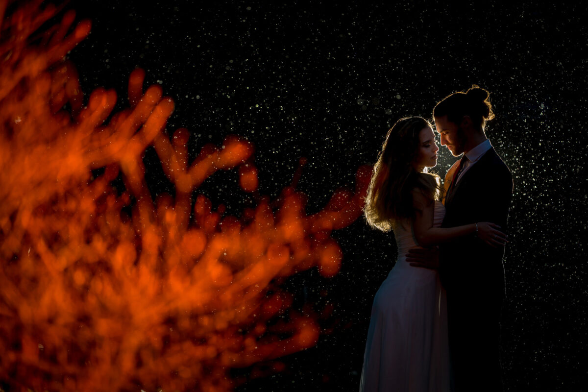 A bride and groom stand close together in an intimate embrace, illuminated against a dark, starry night background. The bride wears a white gown, and the groom is in a dark suit. A bush with vibrant, orange-red leaves in the foreground adds a warm contrast, creating an enchanting storytelling moment for Your Story. Image by Andy Wade Photography.